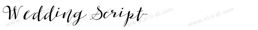 Wedding Script字体转换